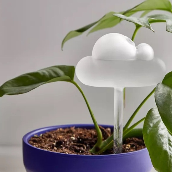 Urban Outfitters Other - NWT Urban Outfitters Shaped Glass Plant Watering Bulb
